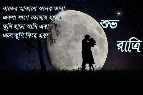 Good Night Image In Bengali