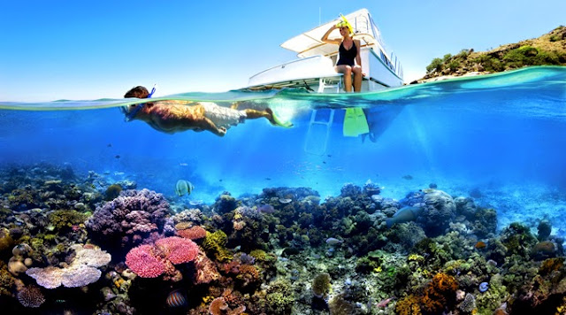 snorkeling di pulau menjangan