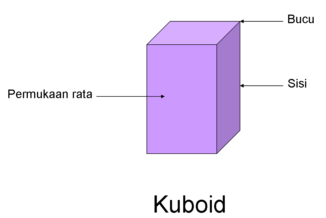 BELAJAR 3 DIMENSI