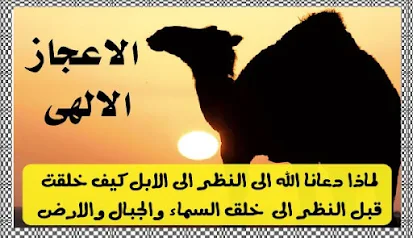 لماذا دعانا الله للنظر الى الابل كيف خلقت قبل النظر الى خلق السماء و الجبال والارض؟