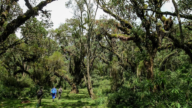 Volcanoes NP