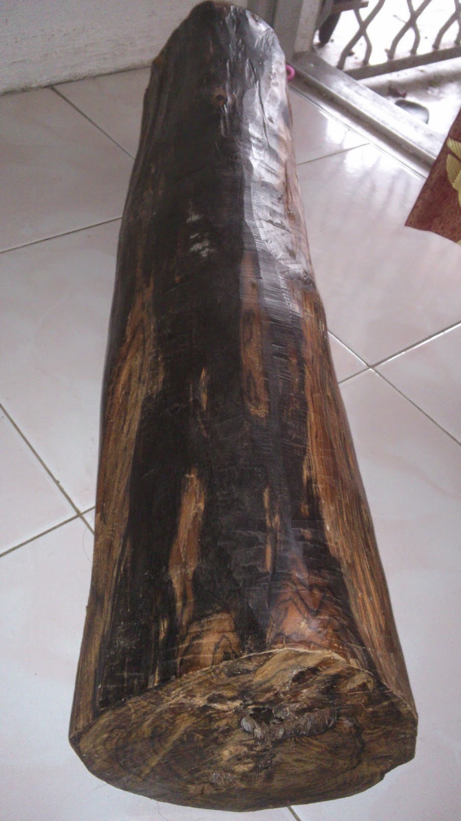 khasiat kayu kemuning hitam
