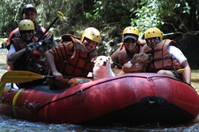 Pets Adventure 8 (79)