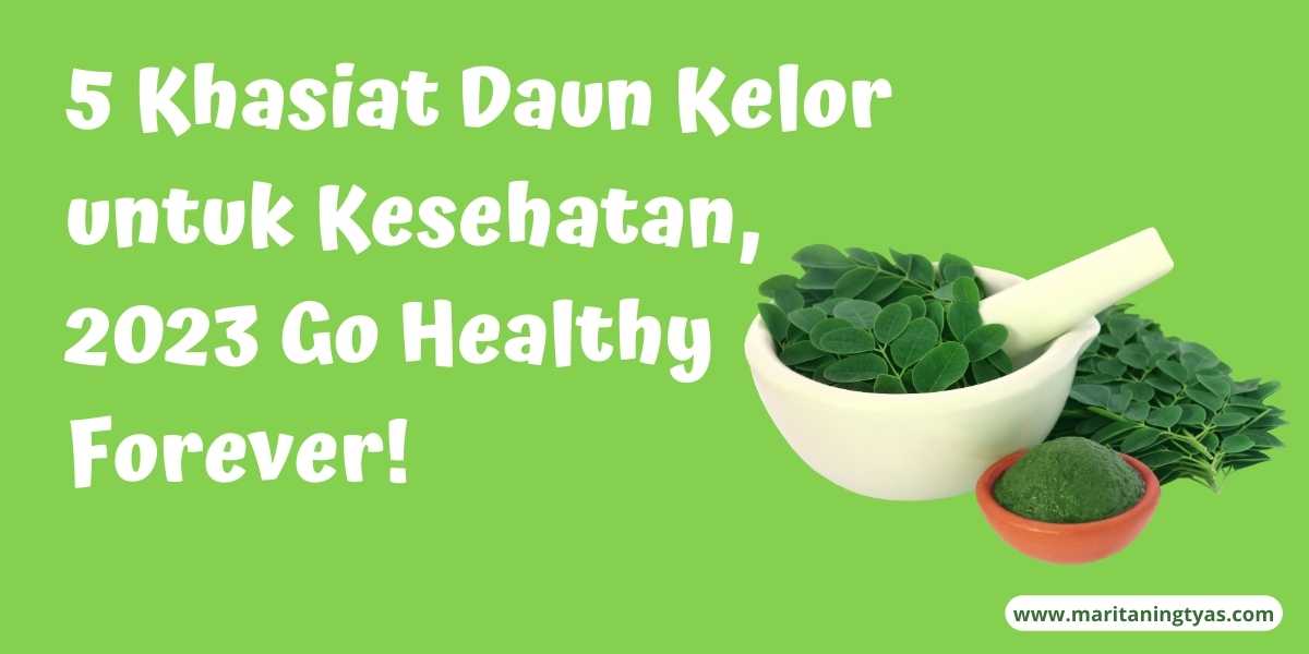 khasiat daun kelor untuk kesehatan