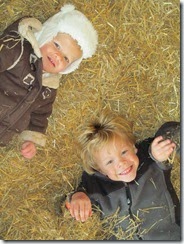 donnell farm 17 mo 047 - Copy