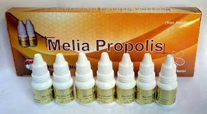 Jual Propolis Melia Asli Murah Di Gresik GRESIK | WA : 0857-4839-4402 Jual Propolis Melia Asli Murah Di Gresik GRESIK | WA : 0857-4839-4402