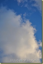 DSC_1068_2937