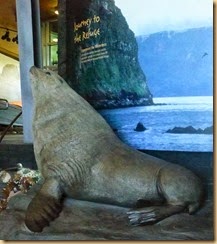 12 035