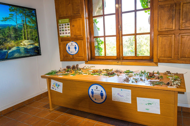 Imagen de una exposición permanente de elementos del bosque