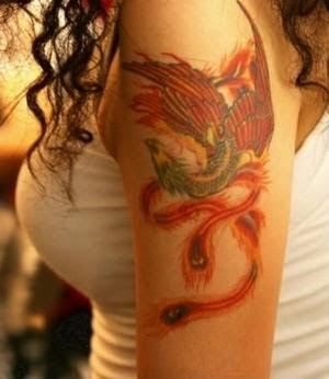 phoenix tattoo design, on the arm
