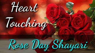 Rose Day Shayari 