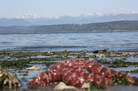 Kitsap Memorial Park