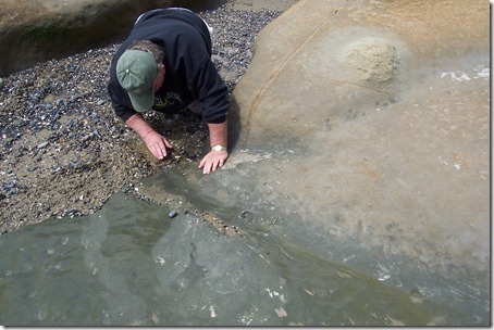 Searching for rocks 014