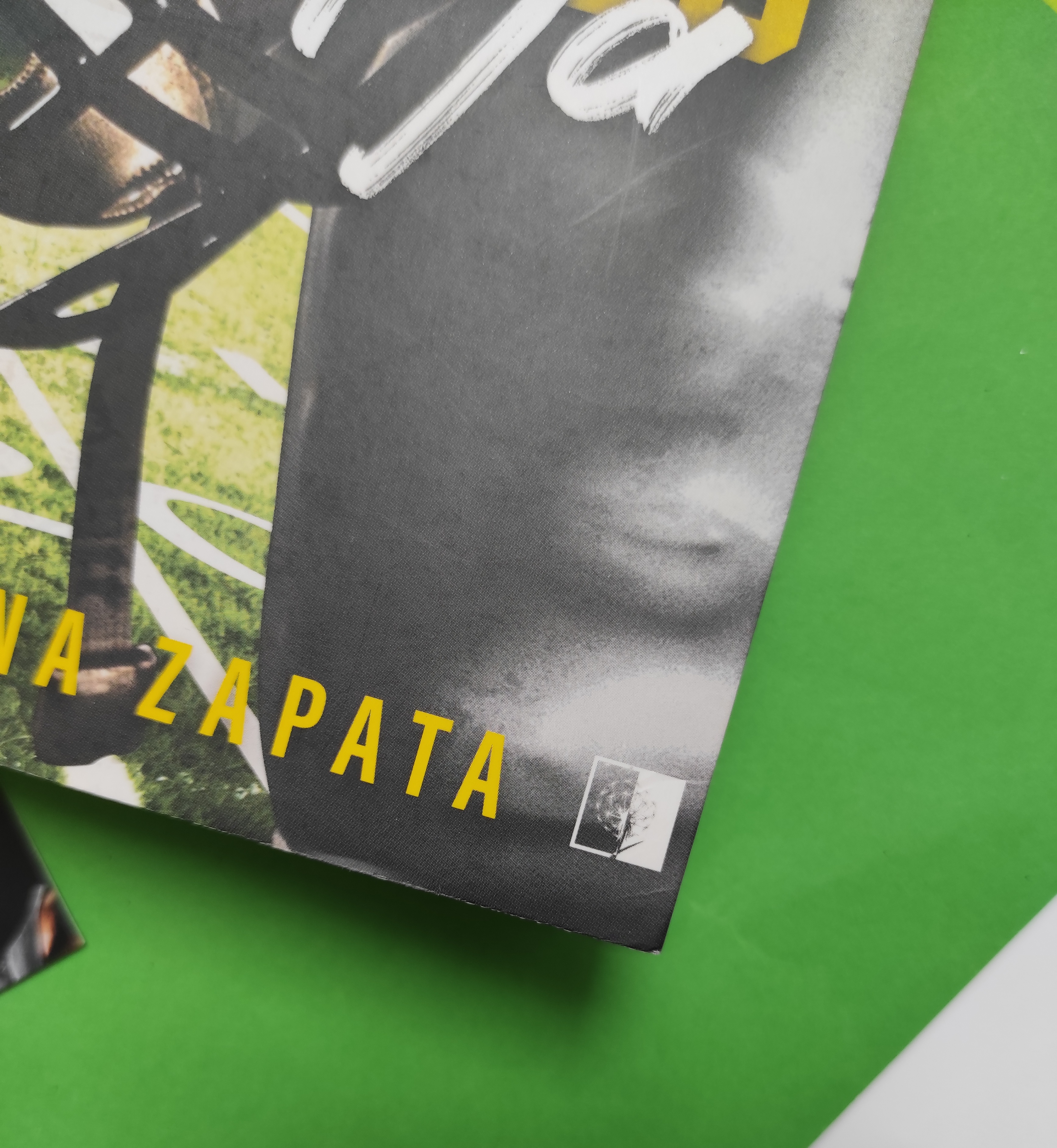 "Wielki Mur z Winnipeg i ja" Mariana Zapata - recenzja