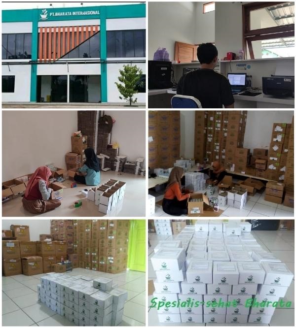 obat paru paru