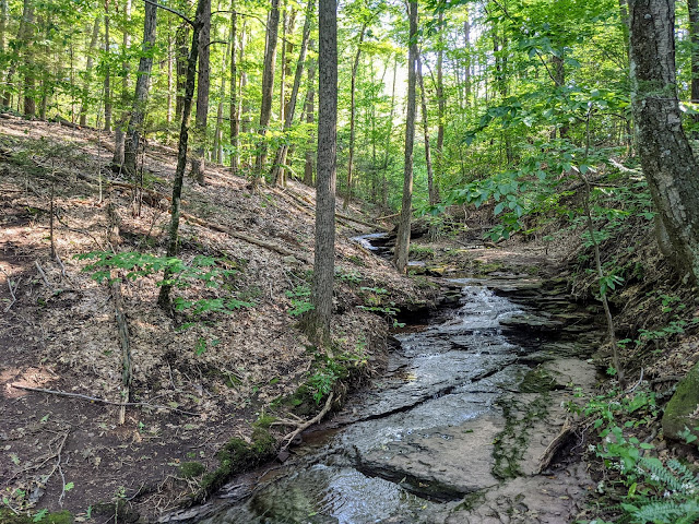 Wadsworth Falls State Park