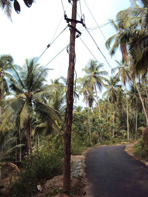 Another old dangerous wooden  Electric post in Odupara Palangad Road - Photo by Habeebu Rahman PP