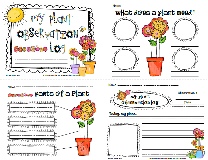 Sailing Through 1st Grade: Plant Observation Log for the ...