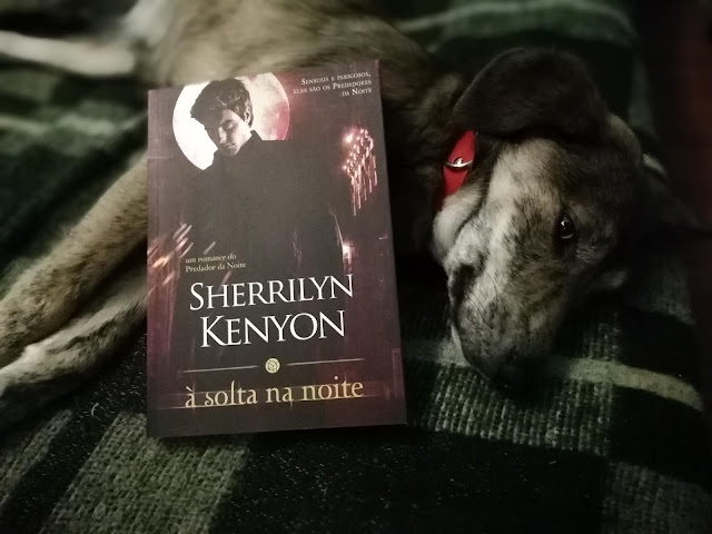 livro-À-Solta-na-Noite-Sherrilyn-Kenyon