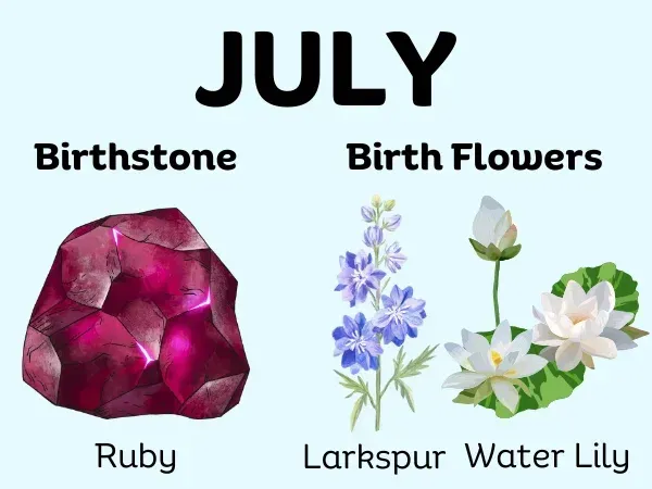 July Birthstone and Birth Flowers