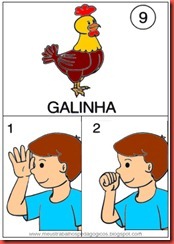Animais em libras fichas colorida 9