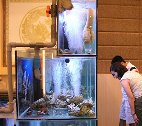 講古堂jiang Gu Tang 古城第一家 槟式深水海鲜餐馆