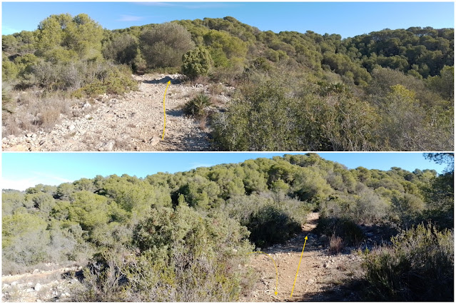 CUNIT - PUIG DE LA MINA - PUIGDETIULA-TURÓ DE L'AVENC - AVENC SANT ANTONI, corriol entre el Turó de l'Avenc i l'Avenc de Sant Antoni i la Carrerada de Santa Coloma