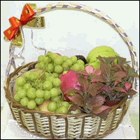 Fruit Basket With Plant
