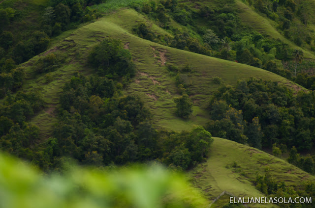 Cebu | Mt Naupa Naga