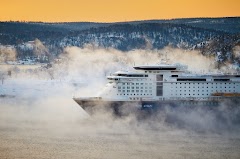 Picking the Best Cruise Lines 