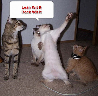 funny photos of cats. funny dancing. Funny Cats Pics