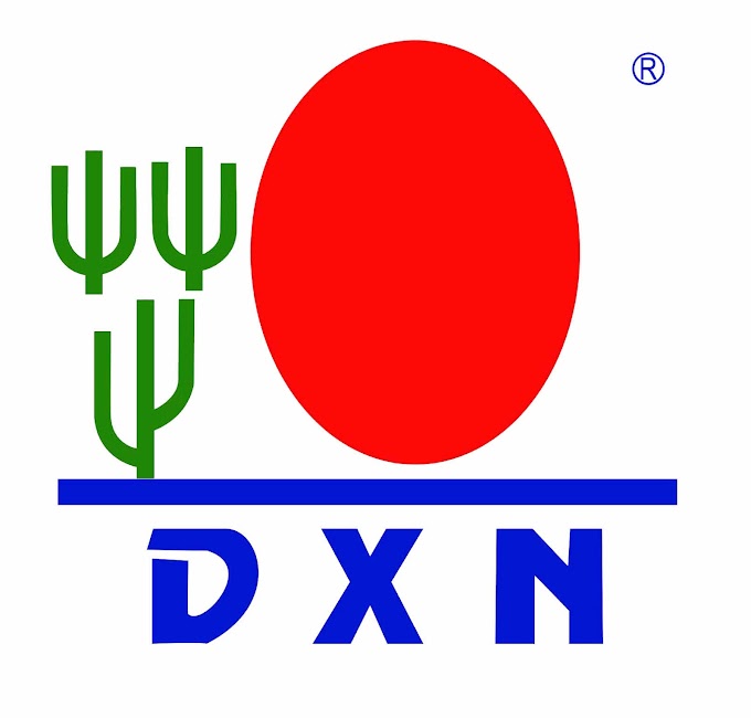 PLAN DE MERCADEO DXN