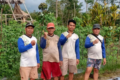 Tanaman Organik Menjadi Andalan Kelompok Tani di Simpang Hilir Kayong Utara