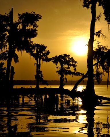 Sunrise on Lake Verret