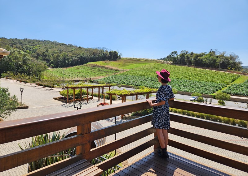 Como fazer a Rota do Vinho em São Roque