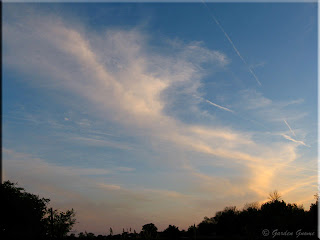 Promising Skies sunset