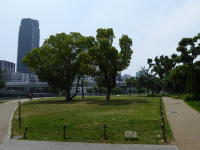 中之島公園の芝生広場