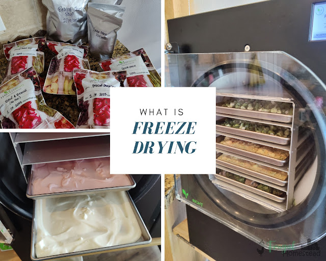 What is freeze drying and how might it benefit your families food preservation efforts.