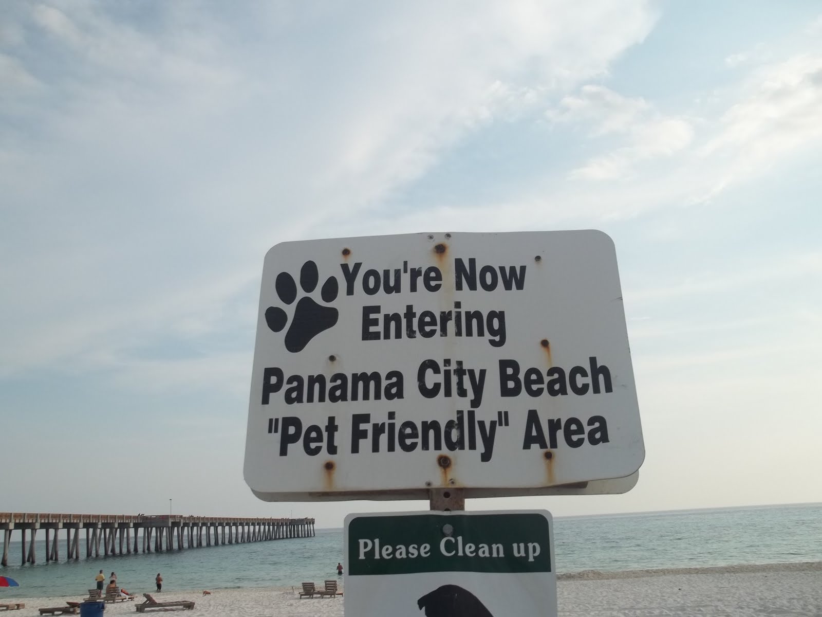 Doberman S By The Sea Travel Leisure Dog Beach Panama City