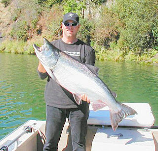 Tips and Trick For Salmon fishing