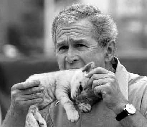 funny bush Funny presidents and dictators pics,background,funny bush Funny presidents and dictators pics,wallpaper,funny bush Funny presidents and dictators picture, funny  funny pics, funny pictures