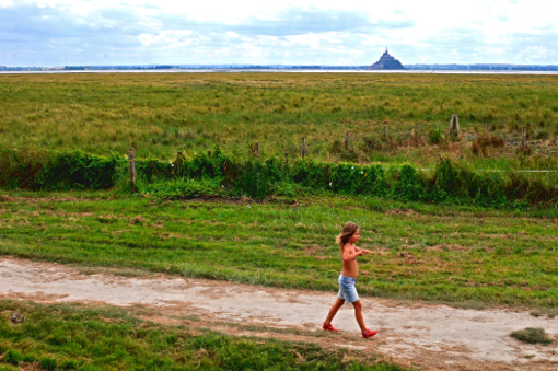 pres sales, Mont saint michel, saint-michel, mont-saint-michel, bretagne, normandie, manche, france