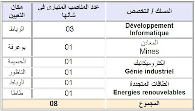 وزارة الانتقال الطاقي و التنمية المستدامة: مباراة توظيف 38 منصب 2024.