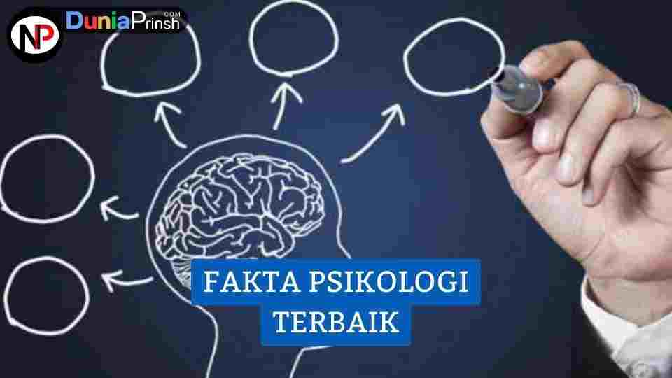 30 Fakta Psikologi Terbaik Yang Tidak Diketahui Orang Banyak