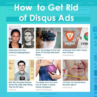 How to Get Rid of Disqus Ads