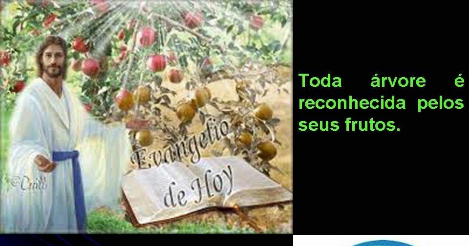 Resultado de imagem para Não existe árvore boa que dê frutos ruins, nem árvore ruim que dê frutos bons