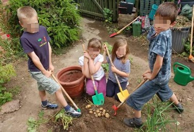 Potatoes_kids_school_garden1_pix