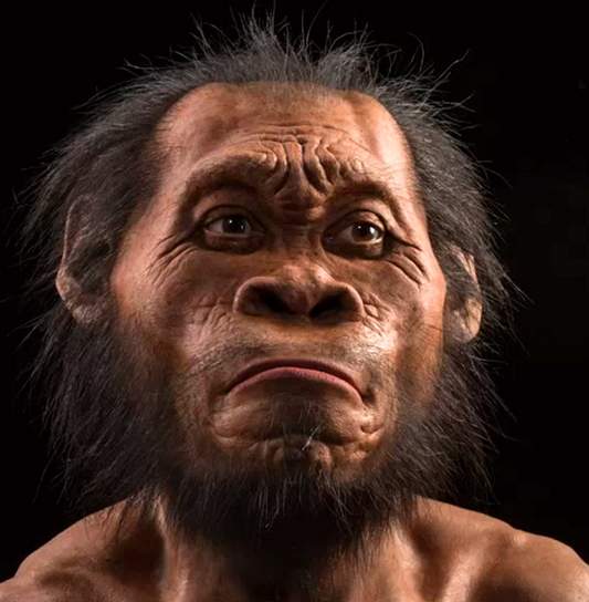 homo sapien naledi