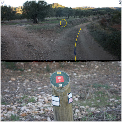 GR-7 Cabra del Camp a Vallespinosa, camí de Cabra del Camp a Vallespinosa paral·lel al Torrent de Cabarrà