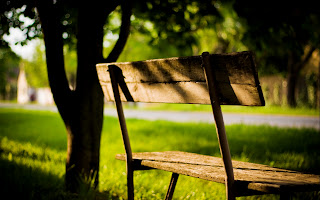 Old Bench Grass and Trees HD Wallpaper